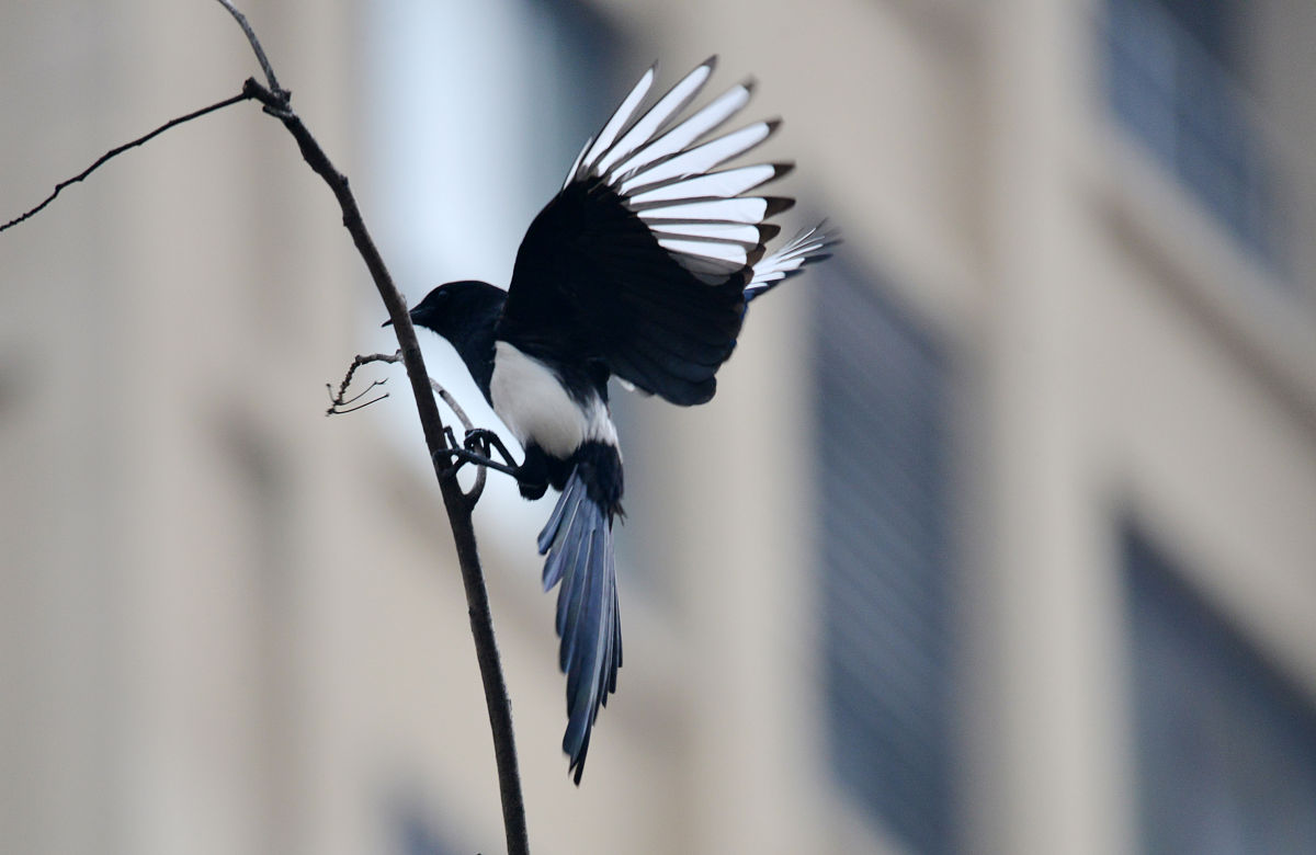 安徽2022年上什么中专学校好-怎么样