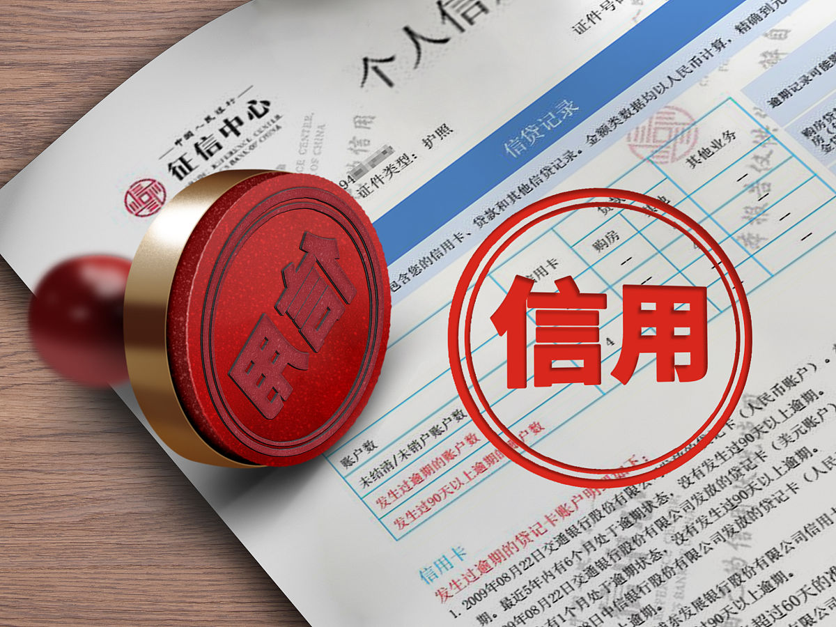 个人征信机构:信用报告和评分的专业服务 个人征信机构:信用报告和评分的专业服务