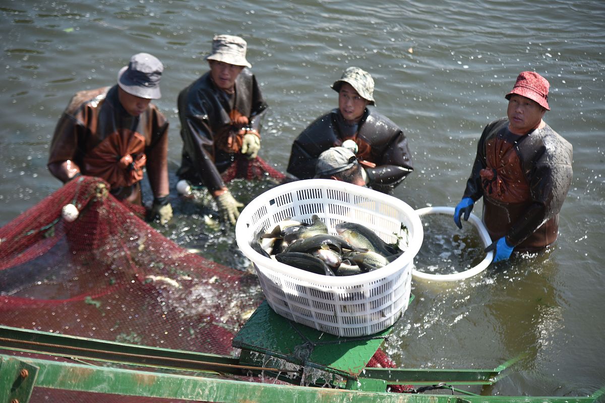 山东科技职业学院商务日语专业如何好学吗