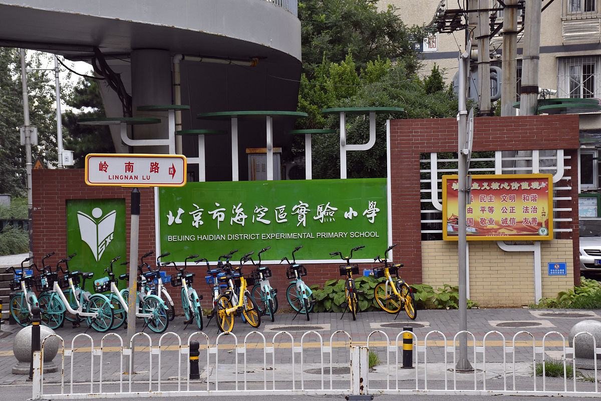 绿色出行骑行小镇公交第五车队主题党日活动1000字
