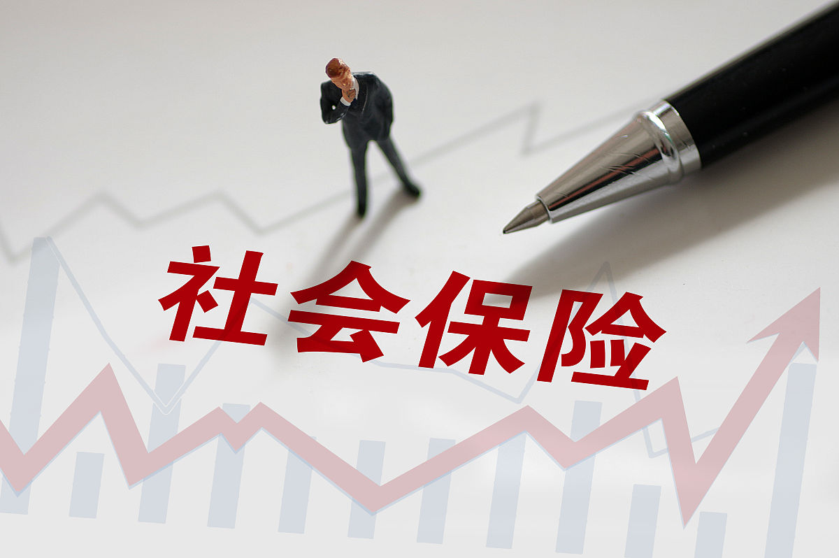 政策性保险举办主体 - 政府机构