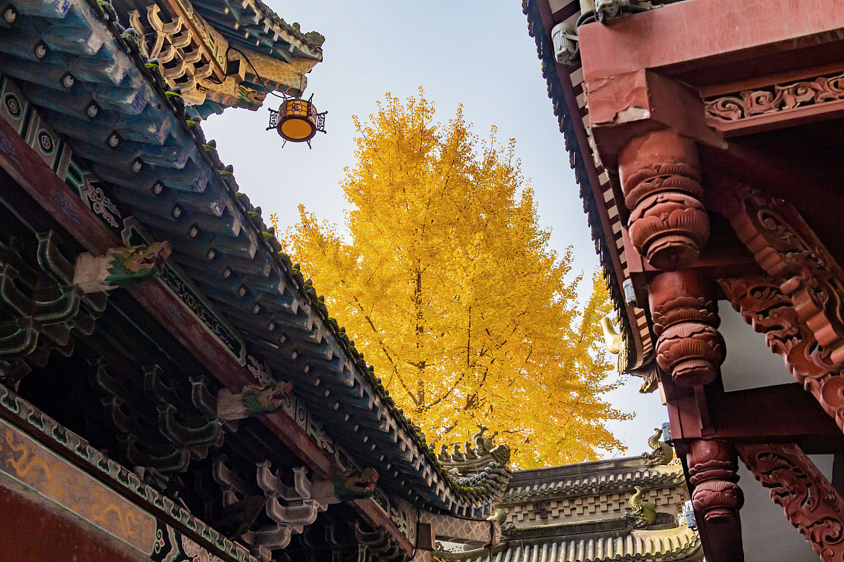 重庆渝东技工学校2023年有哪些专业