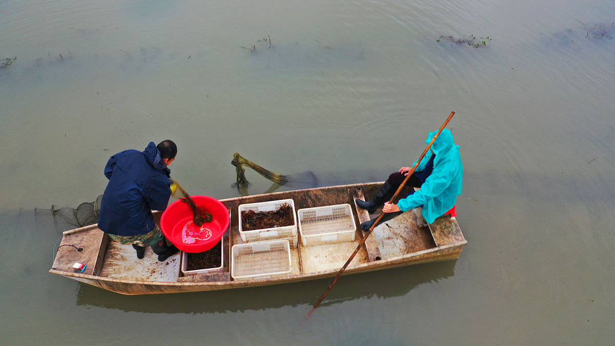 户外教育促进经济发展：文献综述
