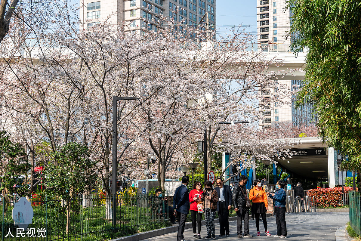 2020年3月23日,上海,有着"最美地铁口"之称的地铁8号线虹口足球场外的