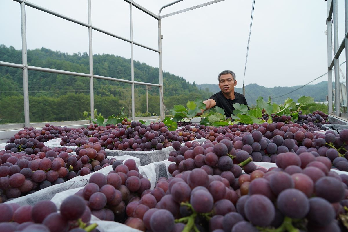 潍坊工商职业学院生态农业技术专业课程设置解读