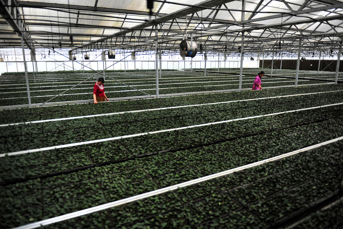 云南省林业学校现代林业技术专业怎么样？前景、就业、课程介绍