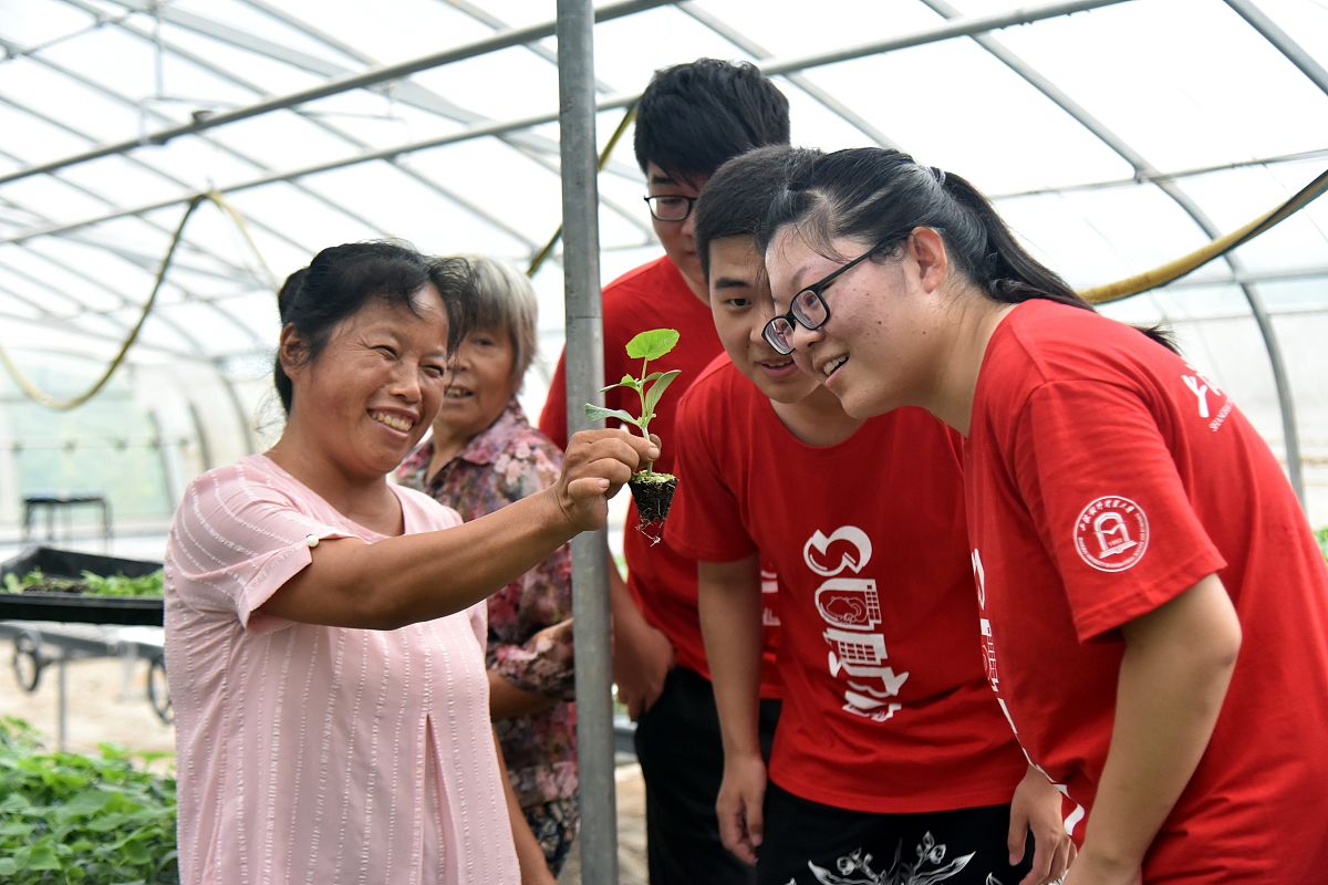 红河中专学校课程设置：专业课程、实践课程和综合素质培养