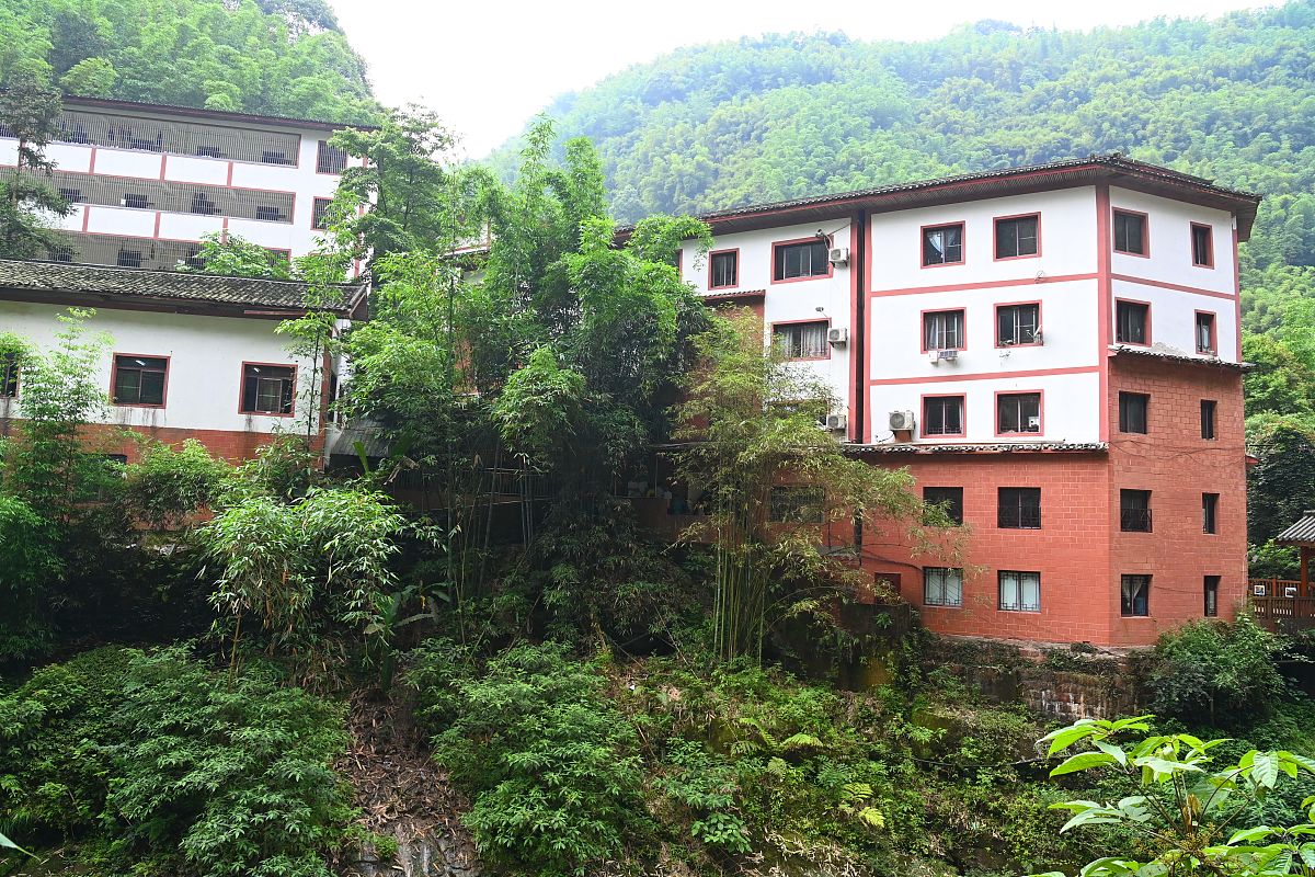 贵州幼儿师范学校教育专业课程设置详解