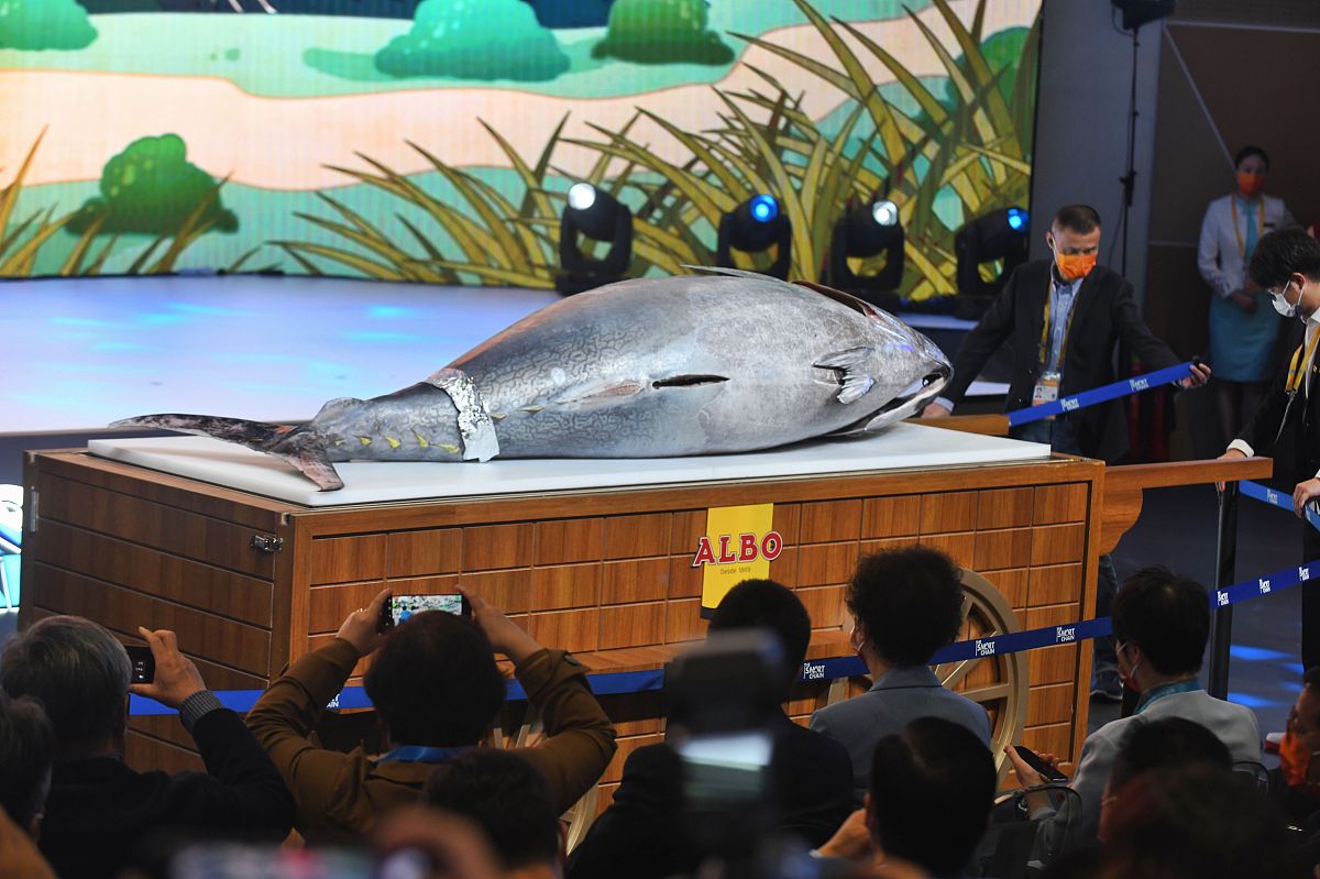 根据姓名 、学校：上海健康医学院、专业：卫生检验与检疫、目前考取公务员为条件做一份600字自我介绍