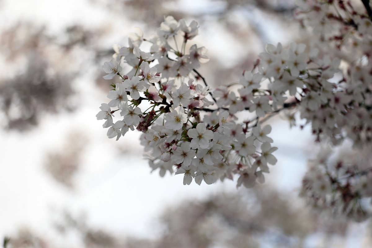 湖北宜昌城市建设学校2023年开设了哪些专业