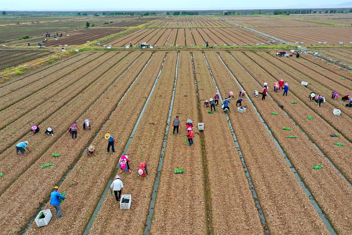 山东商务职业学院粮食工程技术与管理专业怎么样？就业方向及课程介绍