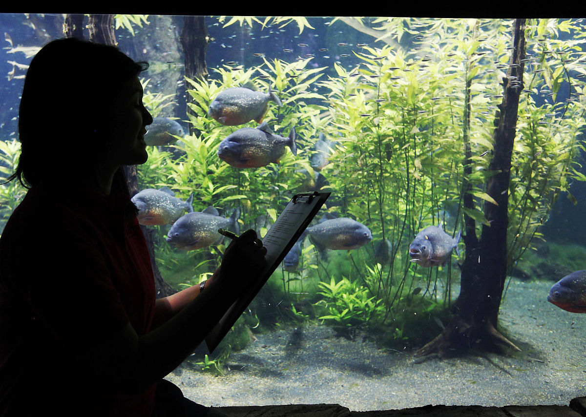 3斤肉放1500水940克肉放多少水