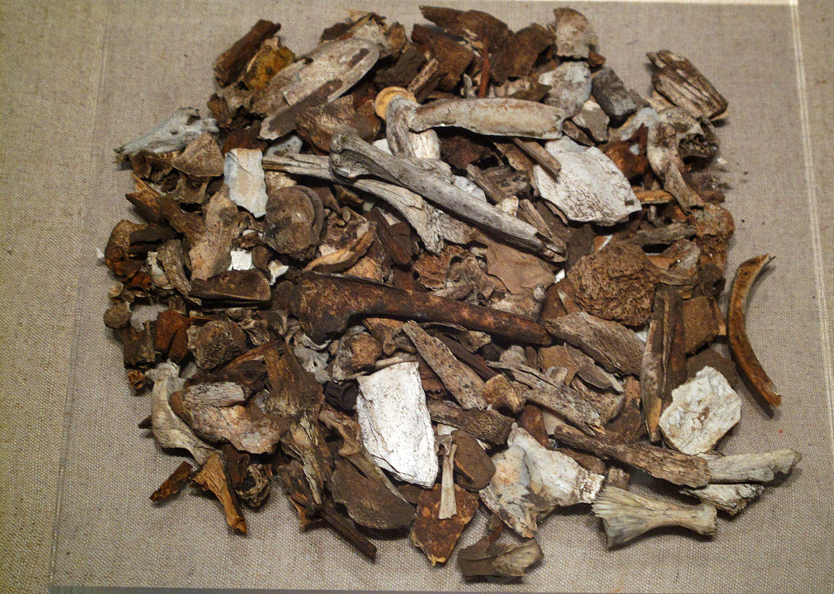 被鱼刺卡喉咙了，要怎么办？