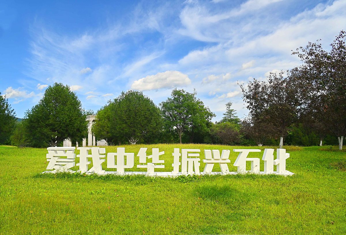 二十大报告中提出中国式现代化的本质要求是：坚持中国共产党领导坚持中国特色社会主义实现高质量发展发展全过程人民民主丰富人民精神世界实现全体人民共同富裕促进人与自然和谐共生推动构建人类命运共同体创造人类文明新形态。请同学从中国式现代化本质要求之中选一个谈谈自己的理解。以上面这段话为选题1000字的论文