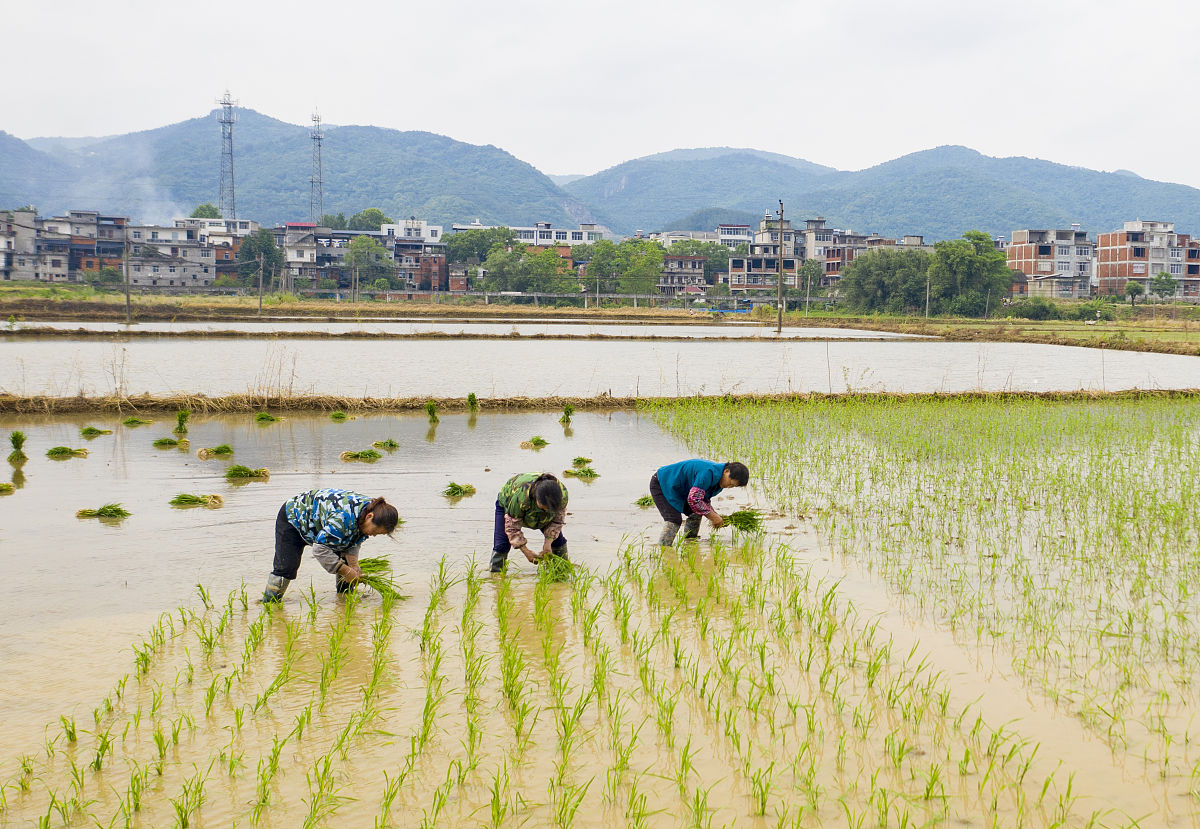 营口市农业工程学校2022年奖助政策 - 助力学子成就梦想