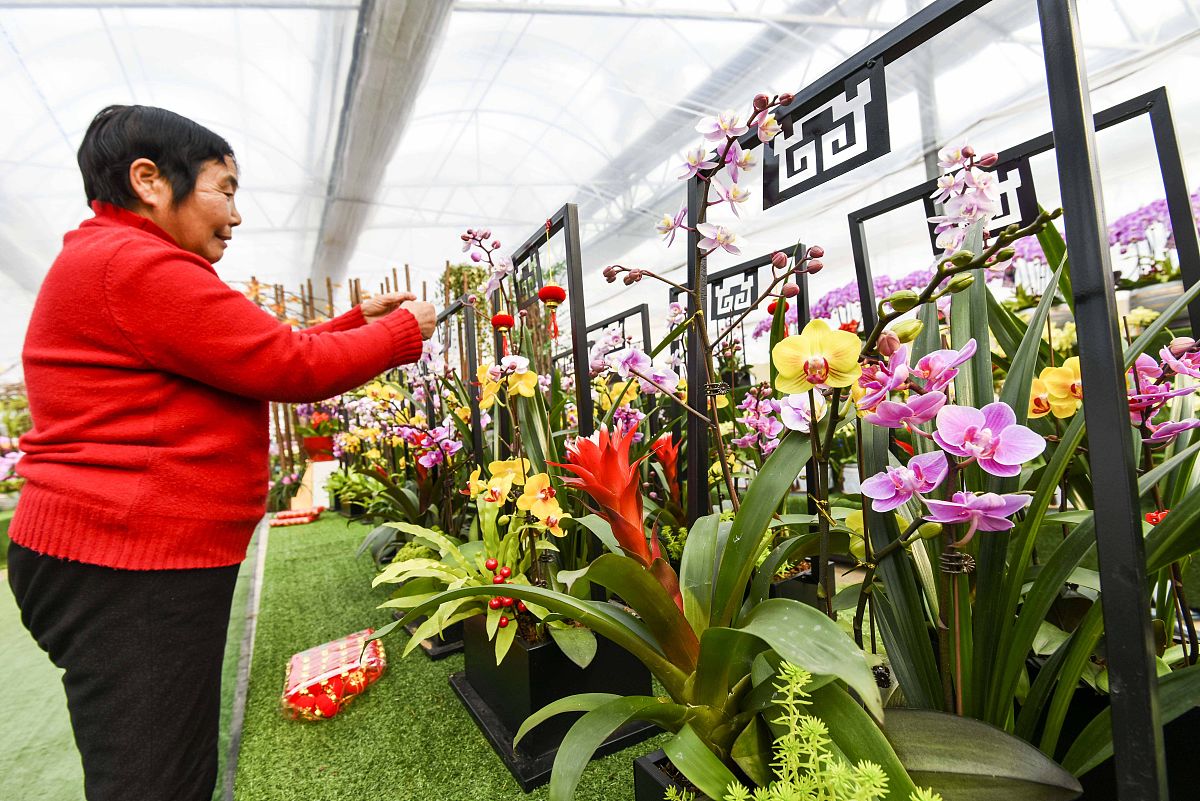 山东科技专修学院专业设置怎么样？