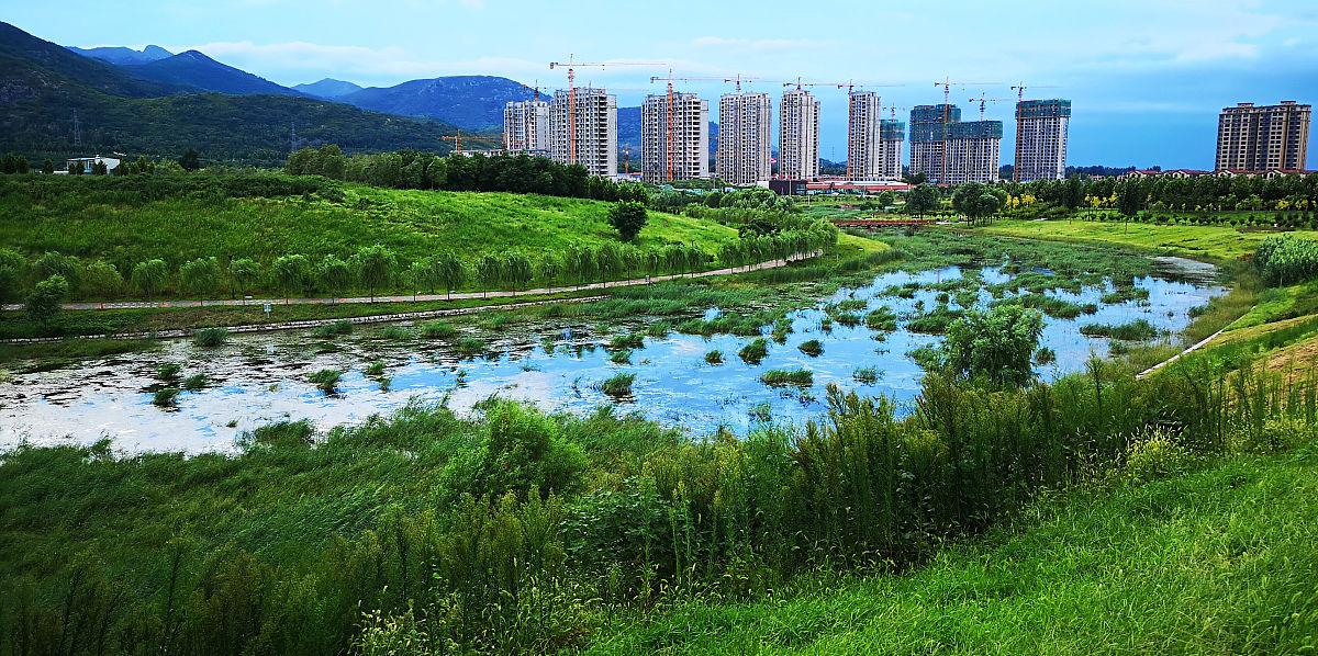 山东水利职业学院工程造价专业怎么样