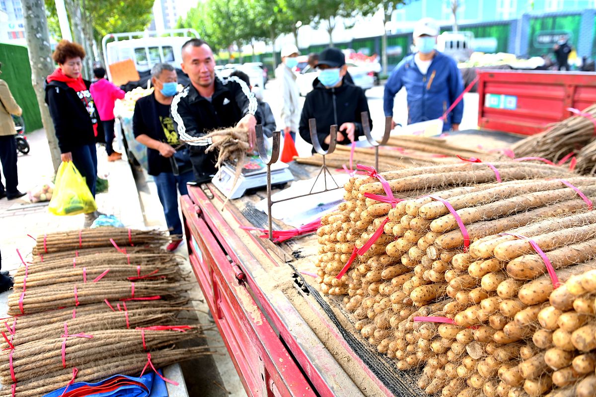 铁棍山药线上销售：质量与安全风险分析及应对策略