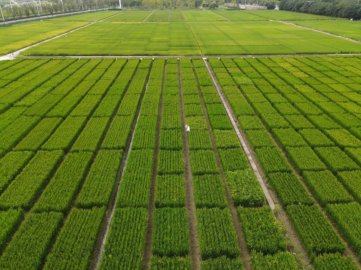 水土保持专科专业怎么样？用发