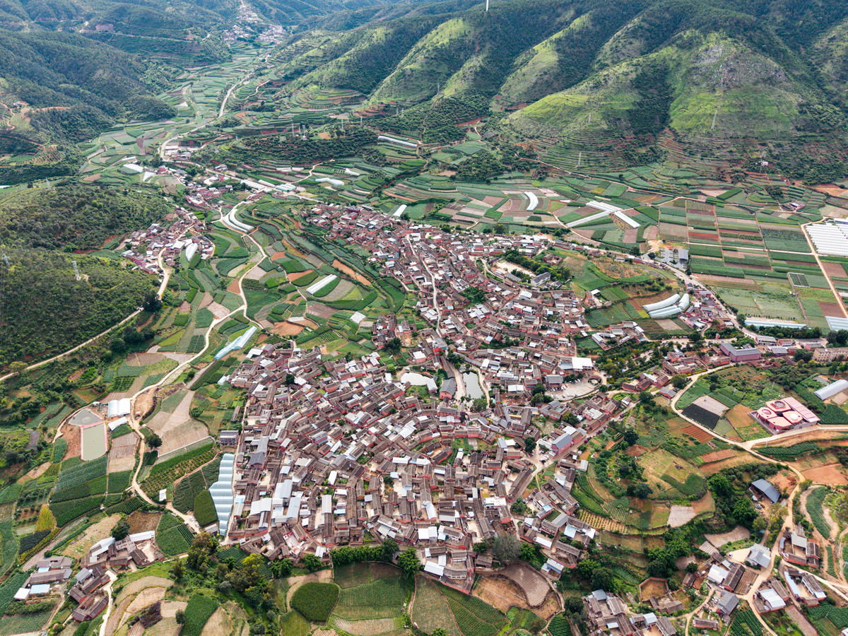 龙头村乡村旅游失败的原因