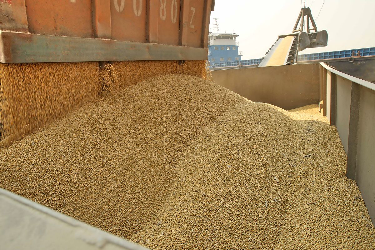 大豆库存及使用情况核查报告