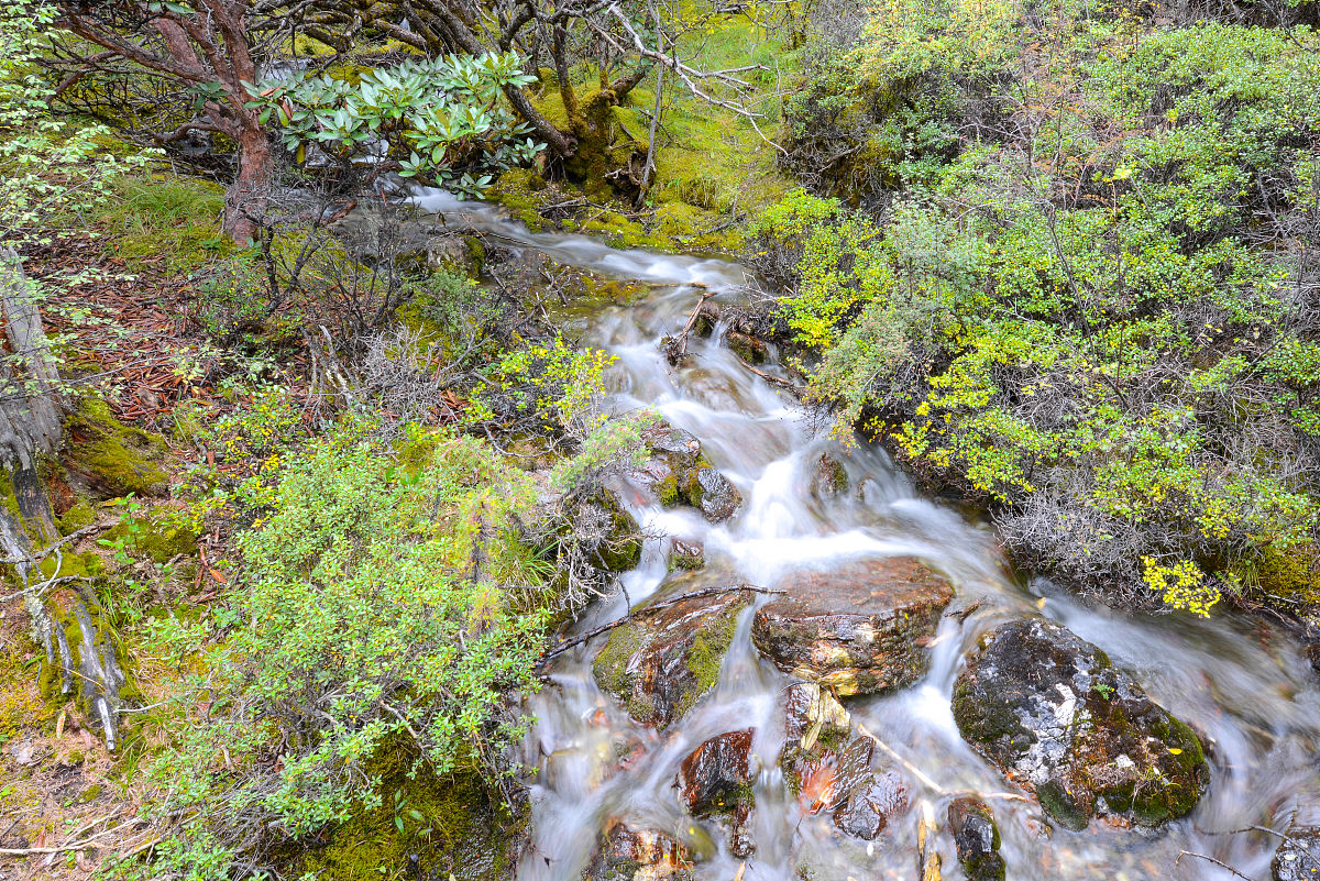 四川铁路学校报名指南：2020年招生流程及注意事项