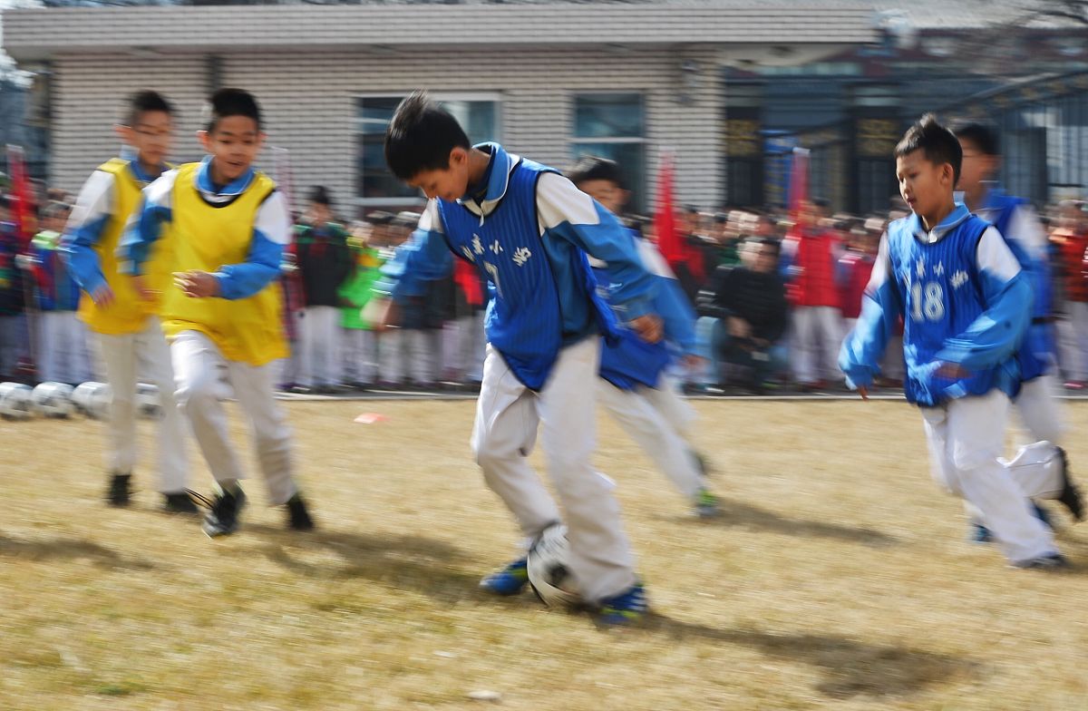 青少年体育培训与赛事活动 - 丰富多彩的运动体验