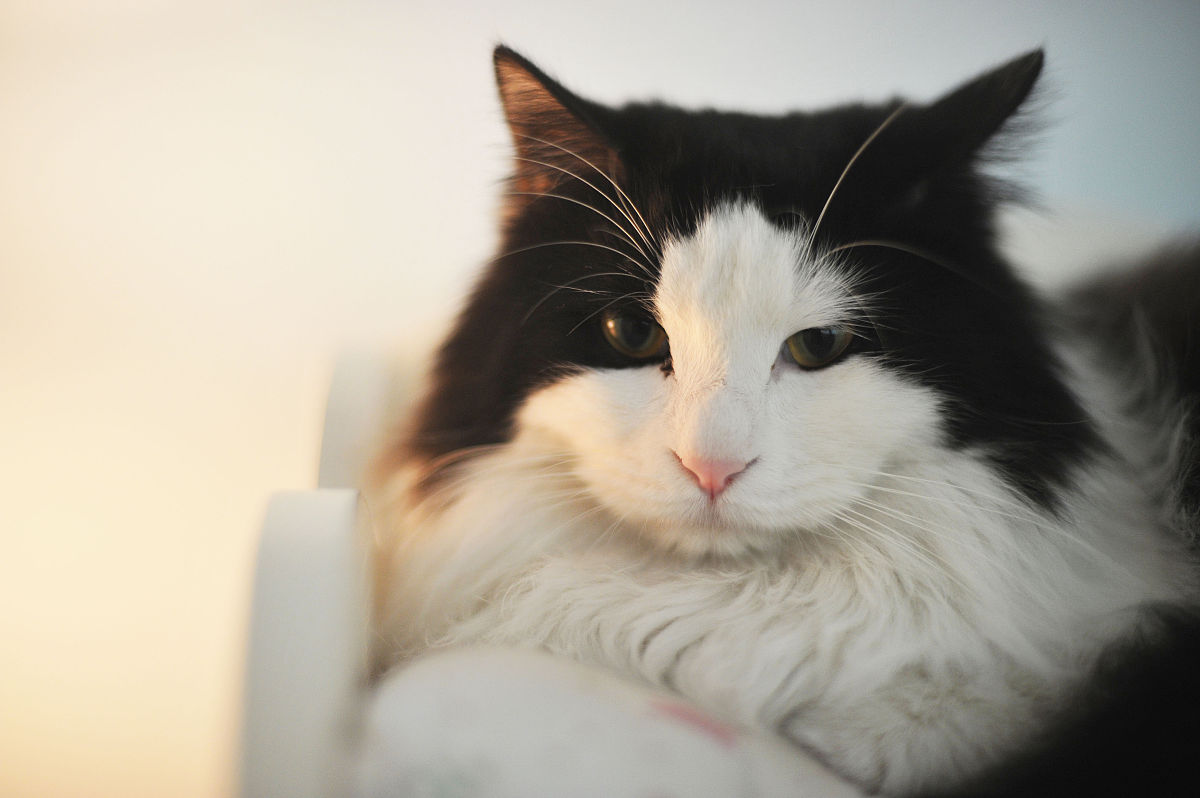 靖边职业教育中心2023年招生专业解读：机械制造、电子信息等热门专业