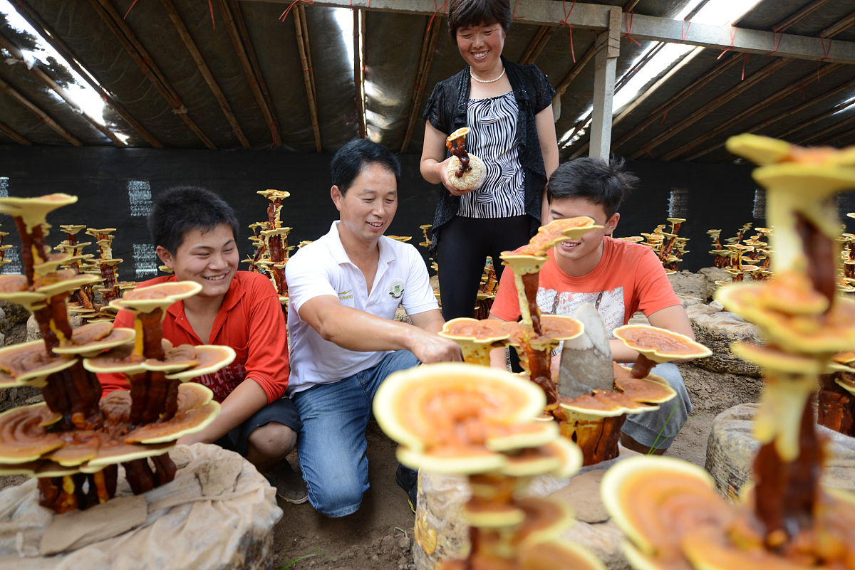虞城县有多少人