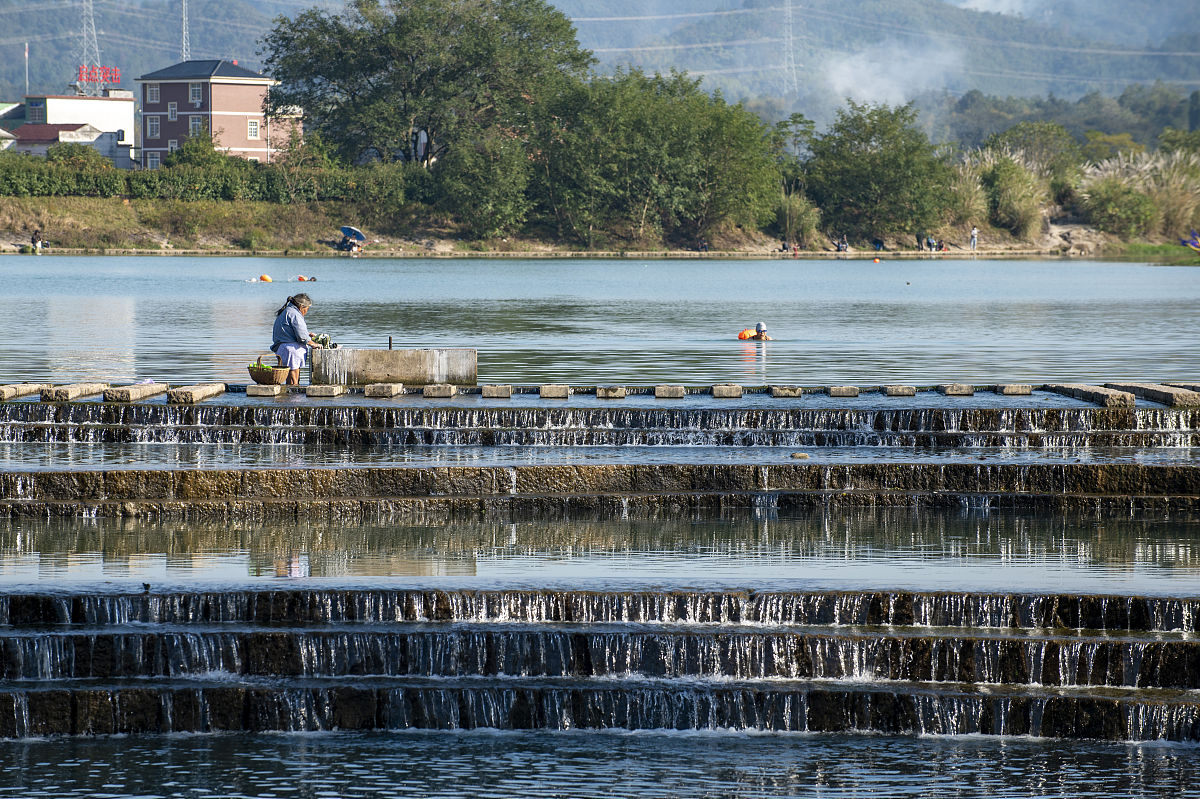 浙江省温州市永嘉县楠溪江水域可以养鸭子吗帮我用180字详细描述