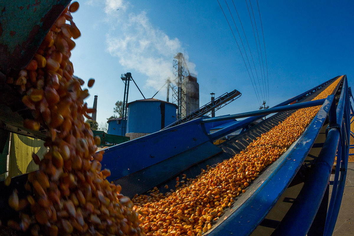 粮食加工产物流行业存在的问题
