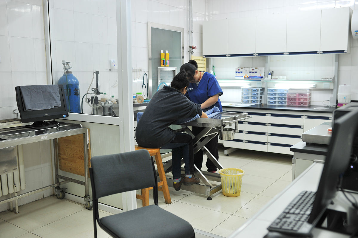 楚雄医药高等专科学校康复治疗专业怎么样