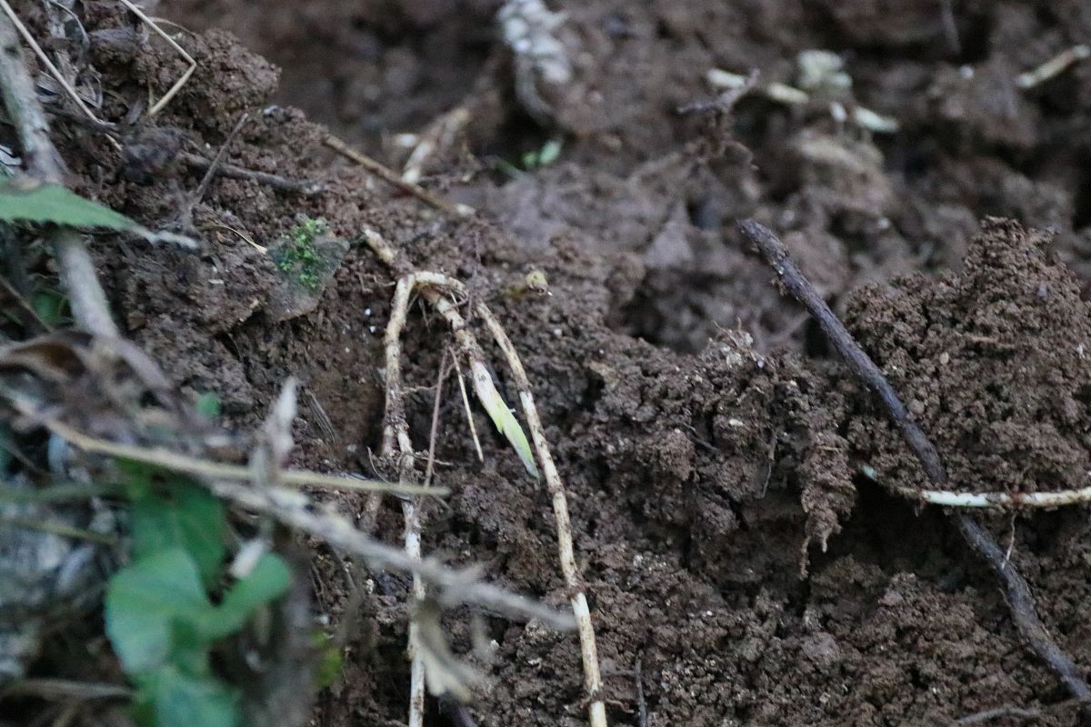 2020年六盘水读铁路学校有没有用