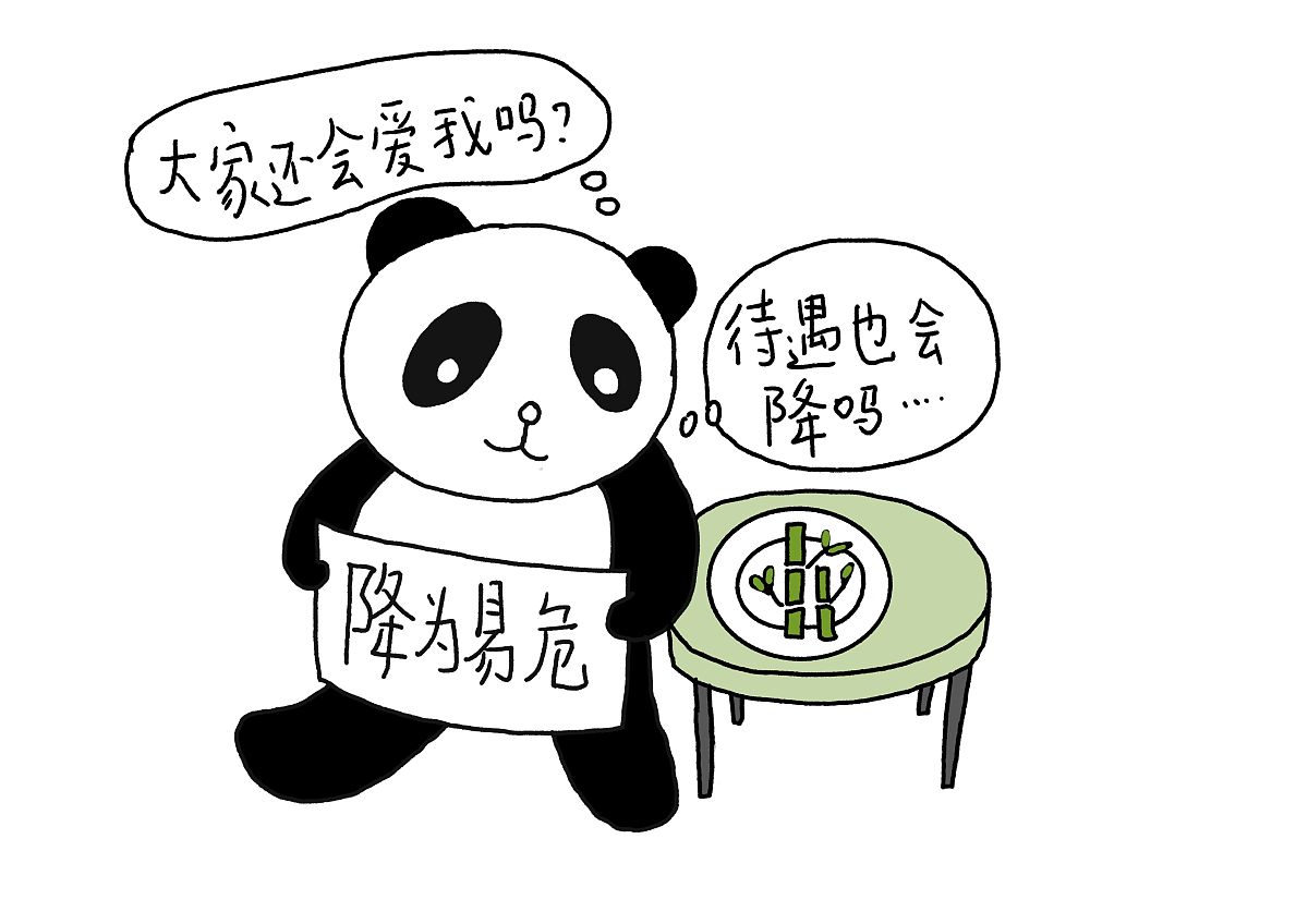 漫画:大熊猫由"濒危"级物种降格为"易危"级