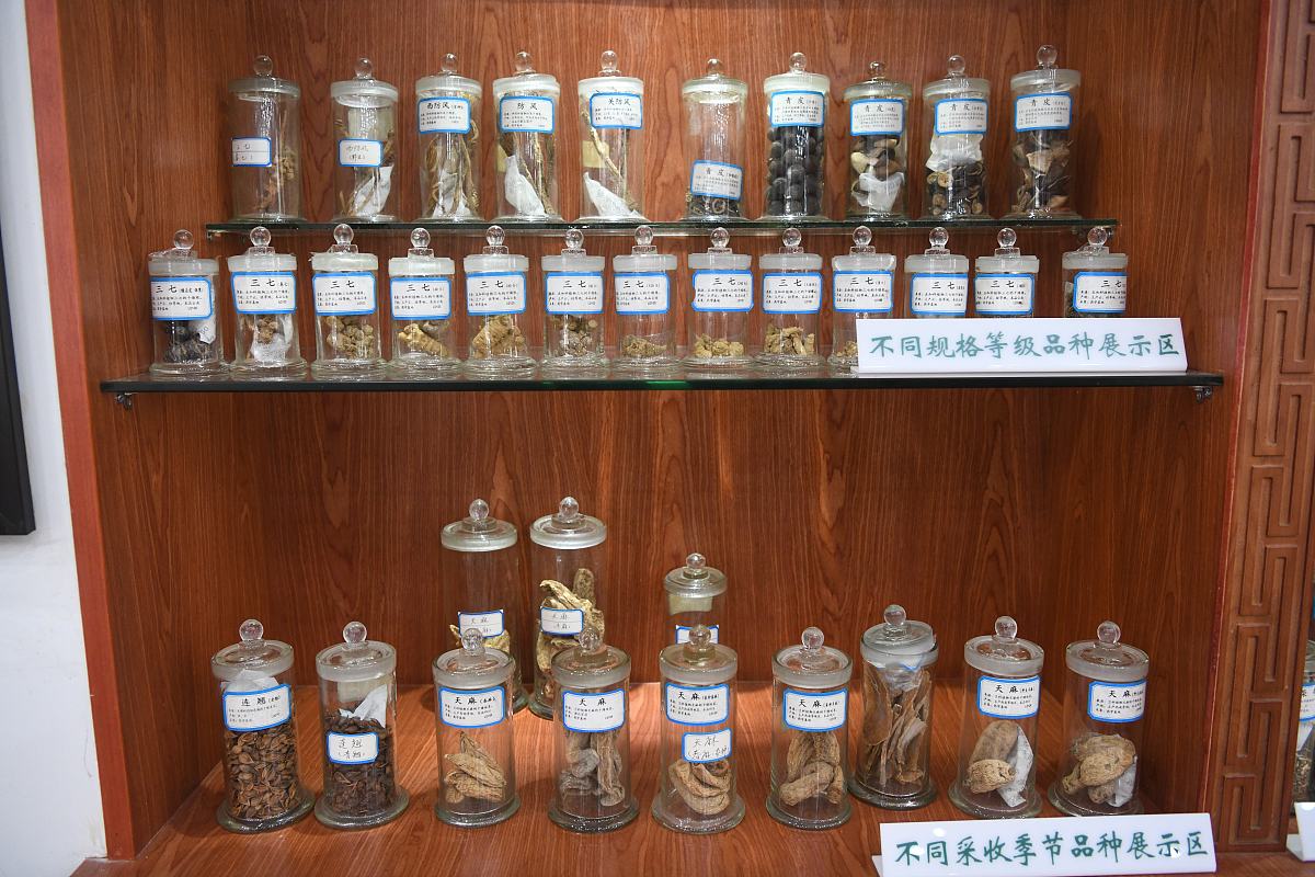 西安卫生学校2021年招生专业：临床医学、口腔医学等