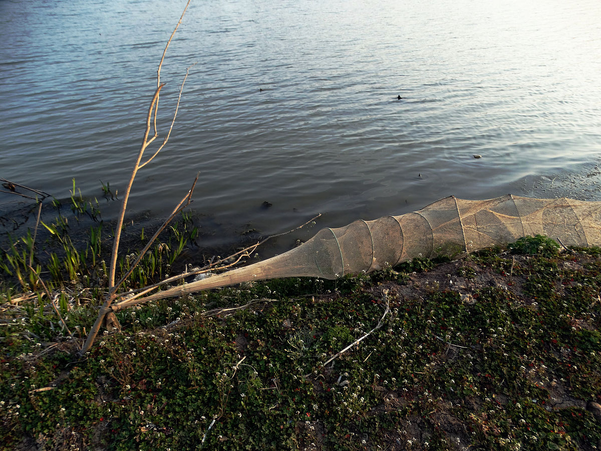 四川省水产学校会计事务专业就业前景如何
