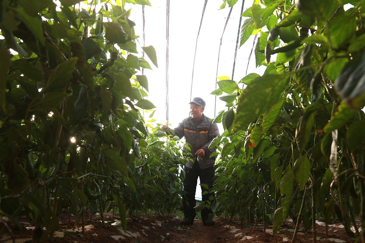 甘肃民族师范学院2022年开设护理专业，培养高素质护理人才