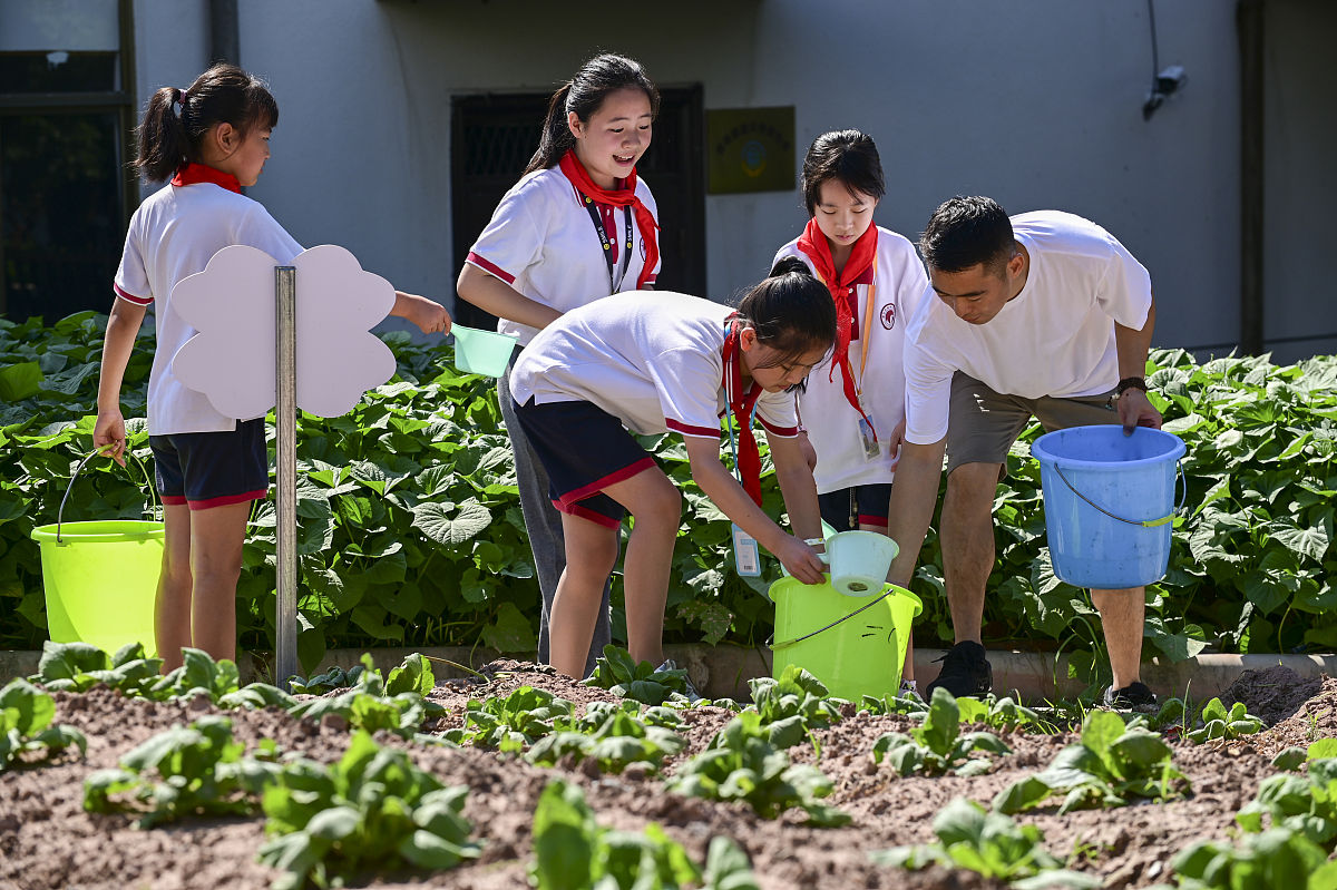 学校组织劳动实践的意义：培养全面发展的优秀人才
