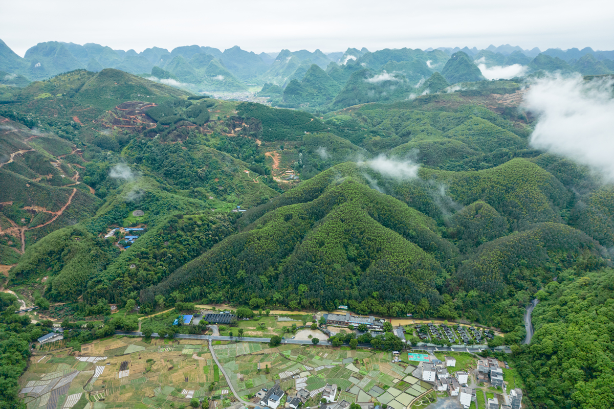 怀化中坡山的生态环境变迁有哪些