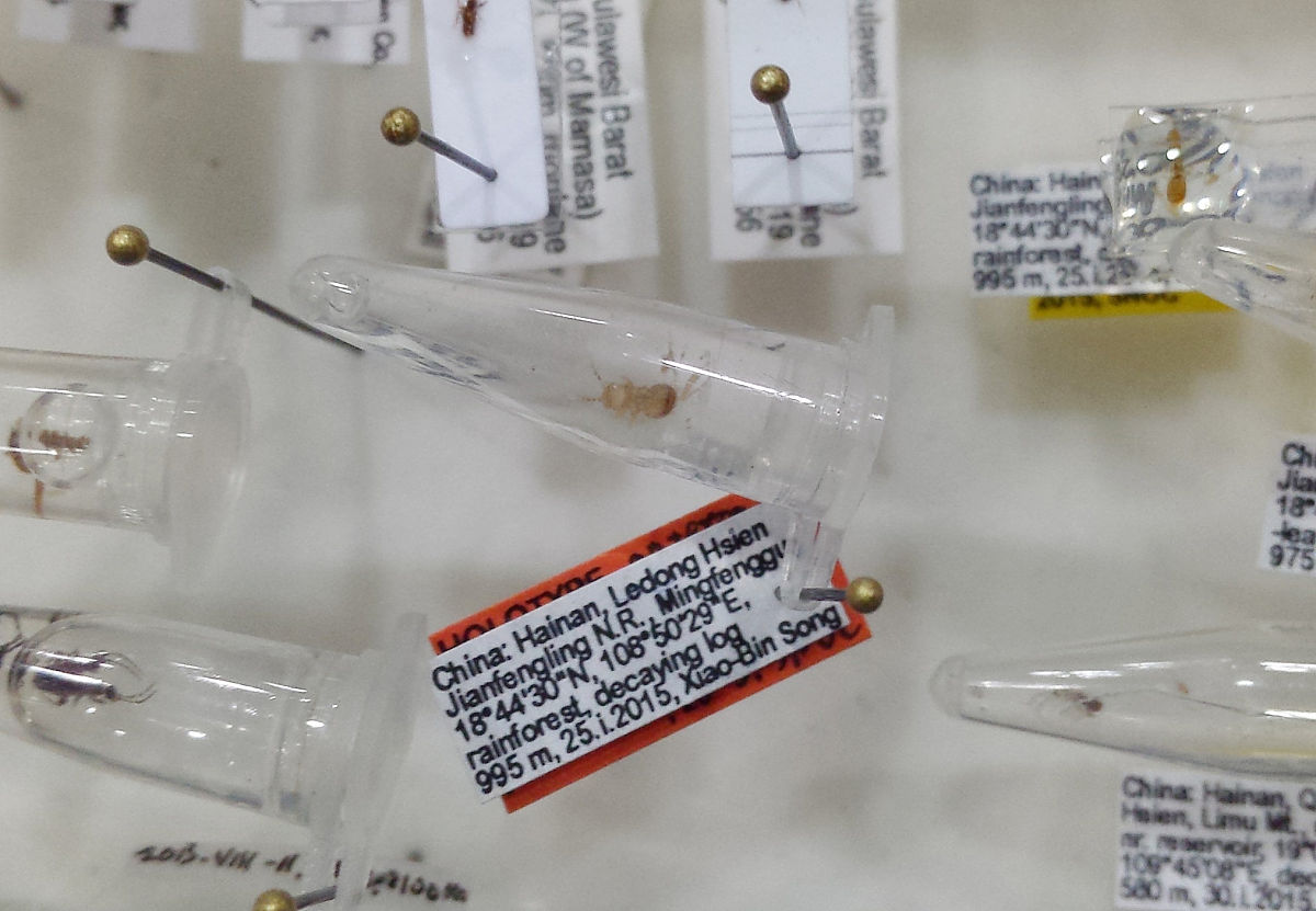 长秀霖注射笔能用多久？使用寿命和注意事项