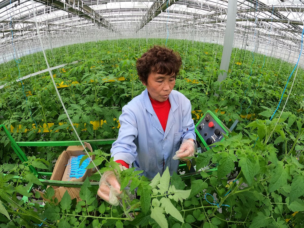 山东职业学院物流管理专业如何好学吗
