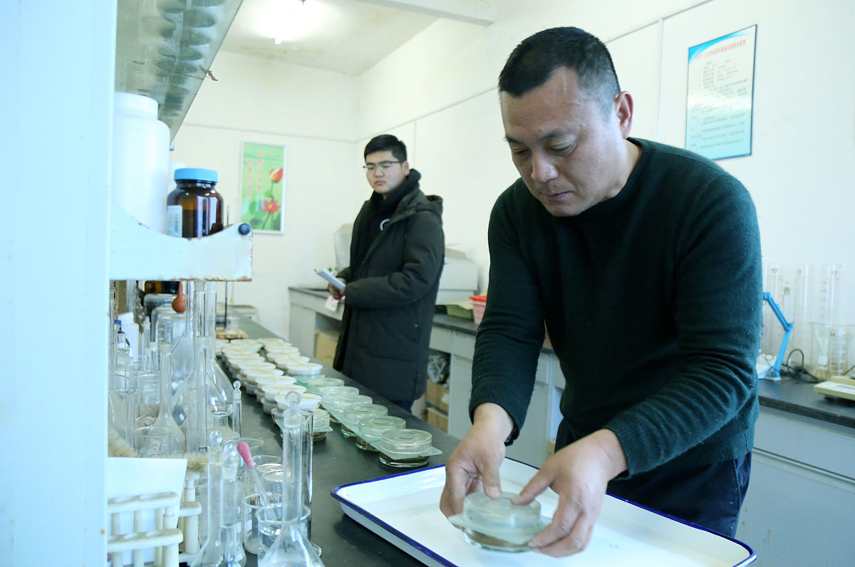 可提取氮是碱解氮吗