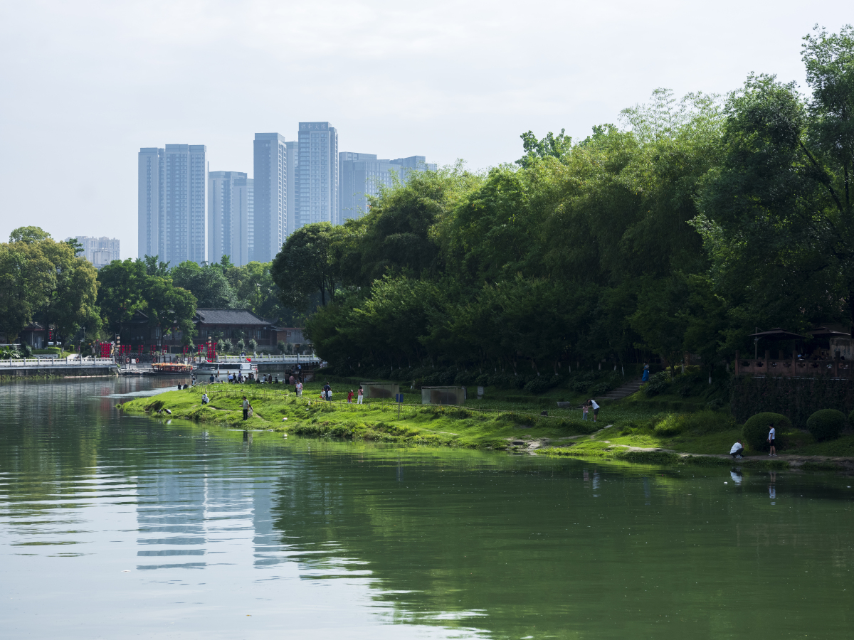 首先说说夏天去望江公园,哇塞,那感觉就像进了个大自然的空调房一样