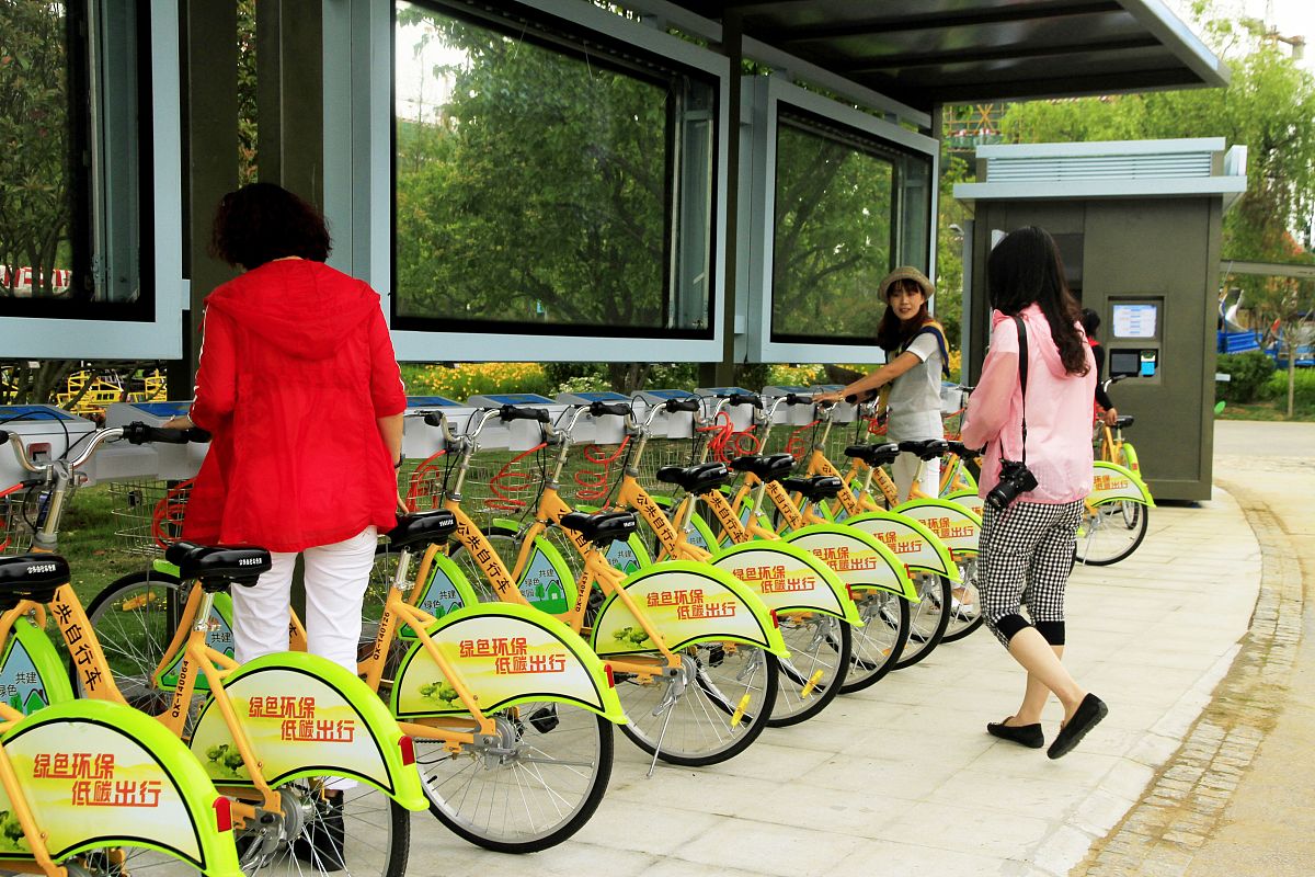 公共物品的非排他性: 定义、例子及意义