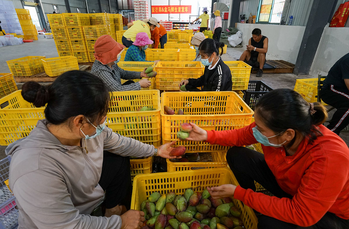 齐峰果业公司眉县农产品营销策略优化研究：提升市场竞争力与盈利能力