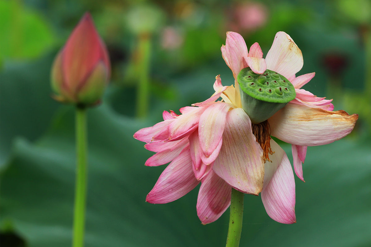 2021芜湖电缆工业学校是公办还是民办？