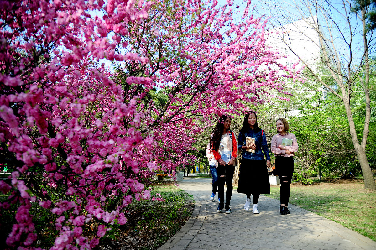辽宁经济职业技术学院工业设计专业就业前景如何
