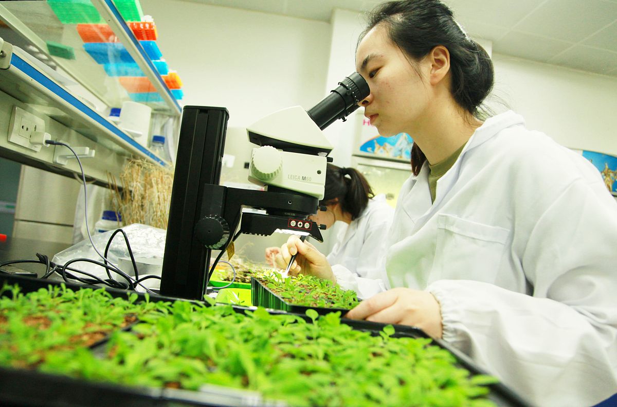 农业与生物系统工程、食品科学与人类营养：由 Kurt A. Rosentrater 编辑