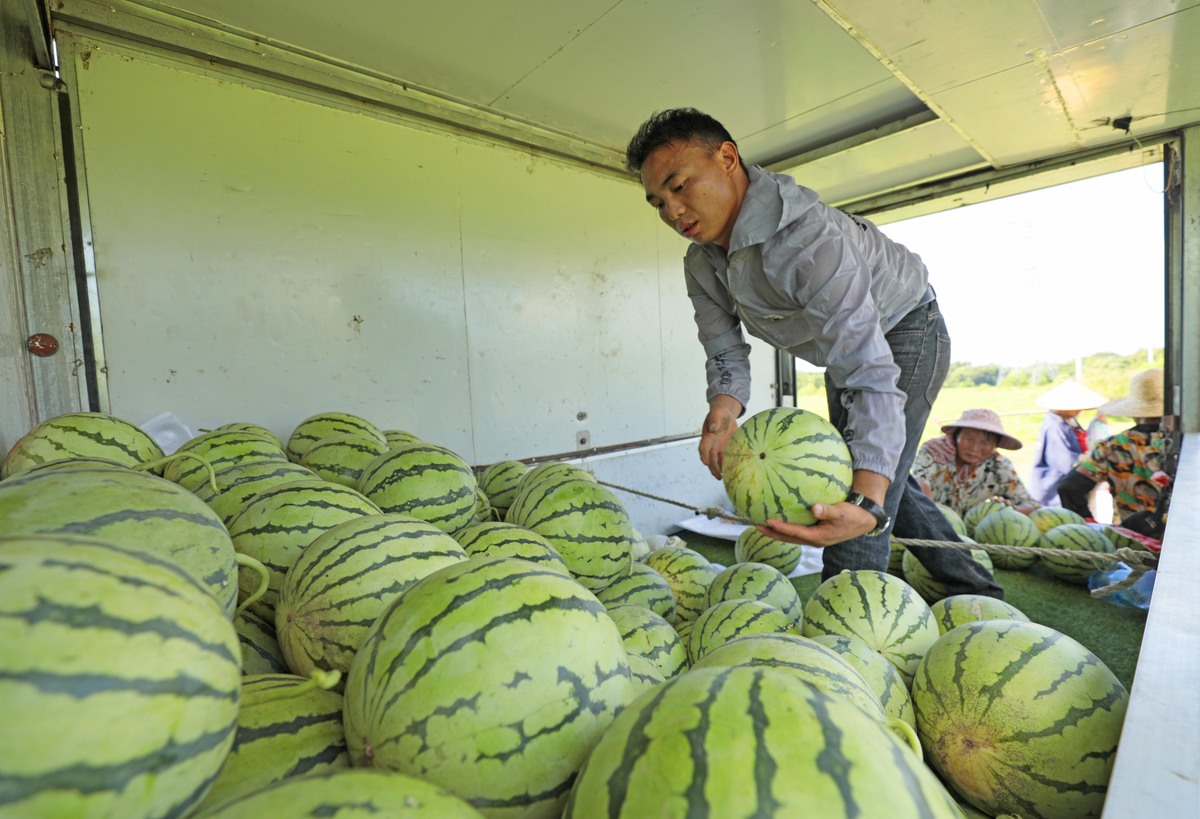 驻马店大学生买西瓜遇“变质”事件，引发网友热议！