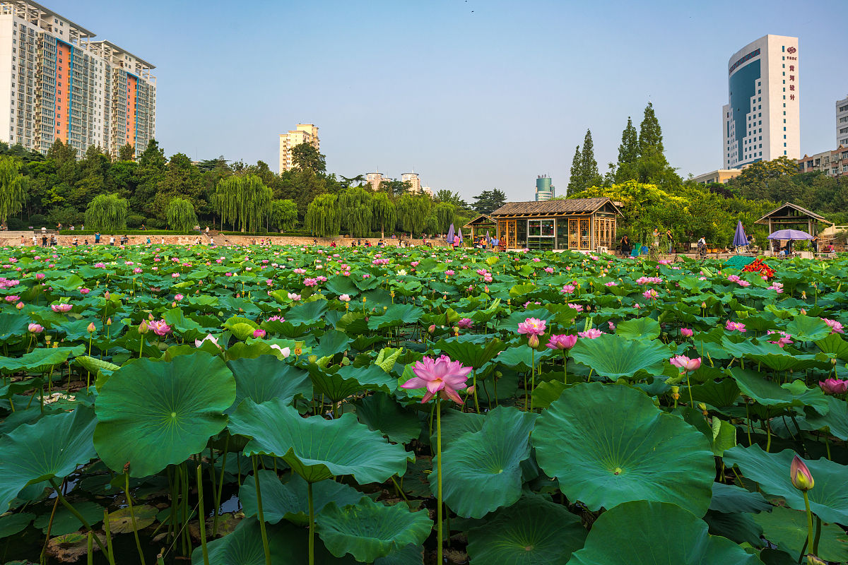 郑州市2017年治理工业废水成本